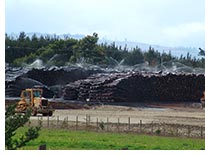 Sawmill